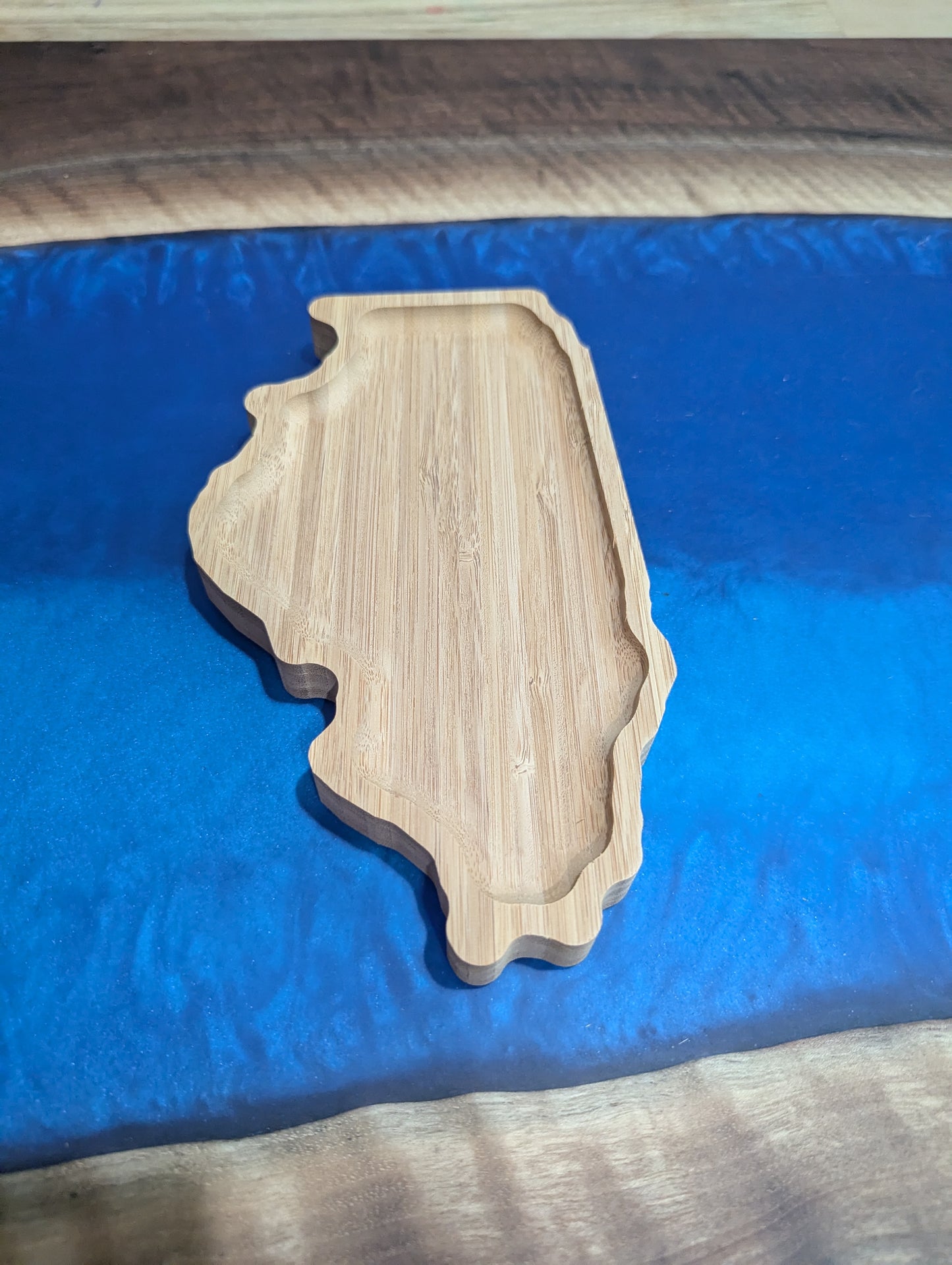 Illinios State Tray