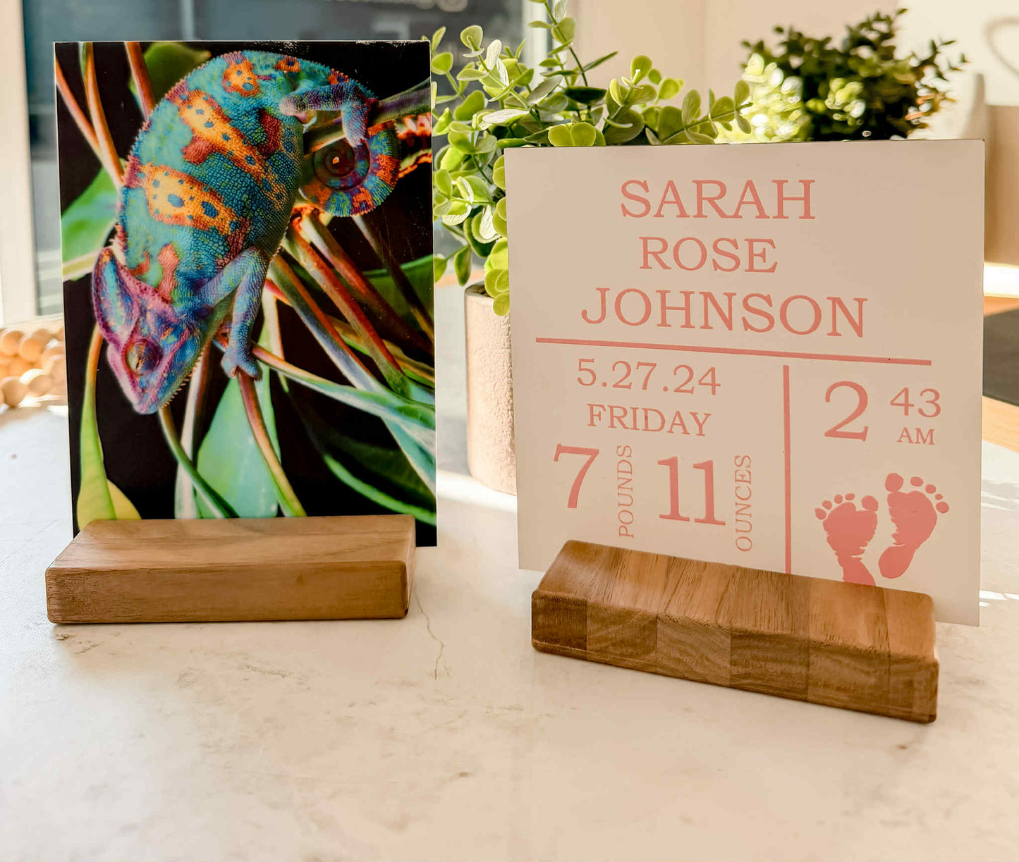 Black Walnut Acrylic Base